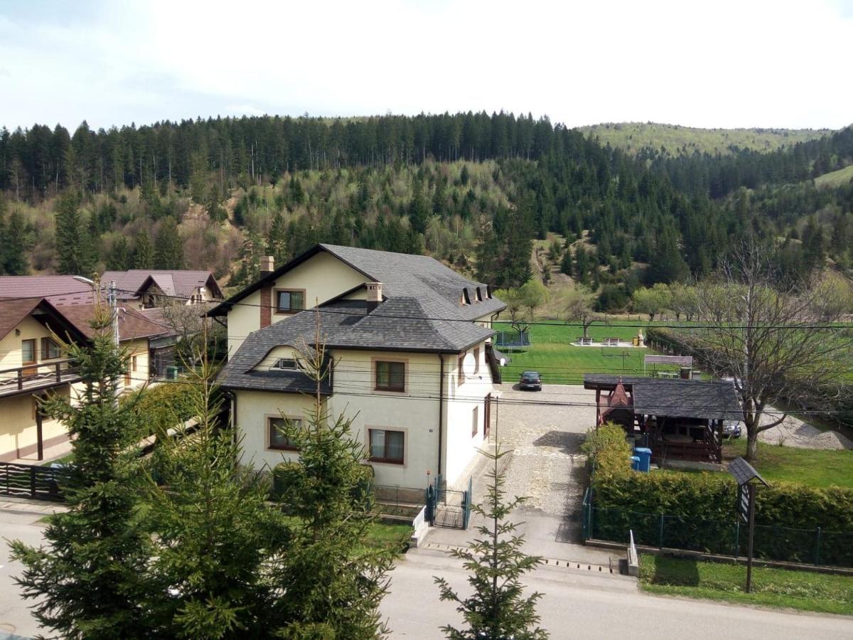 Pensiunea Boca Woronetz Exterior foto
