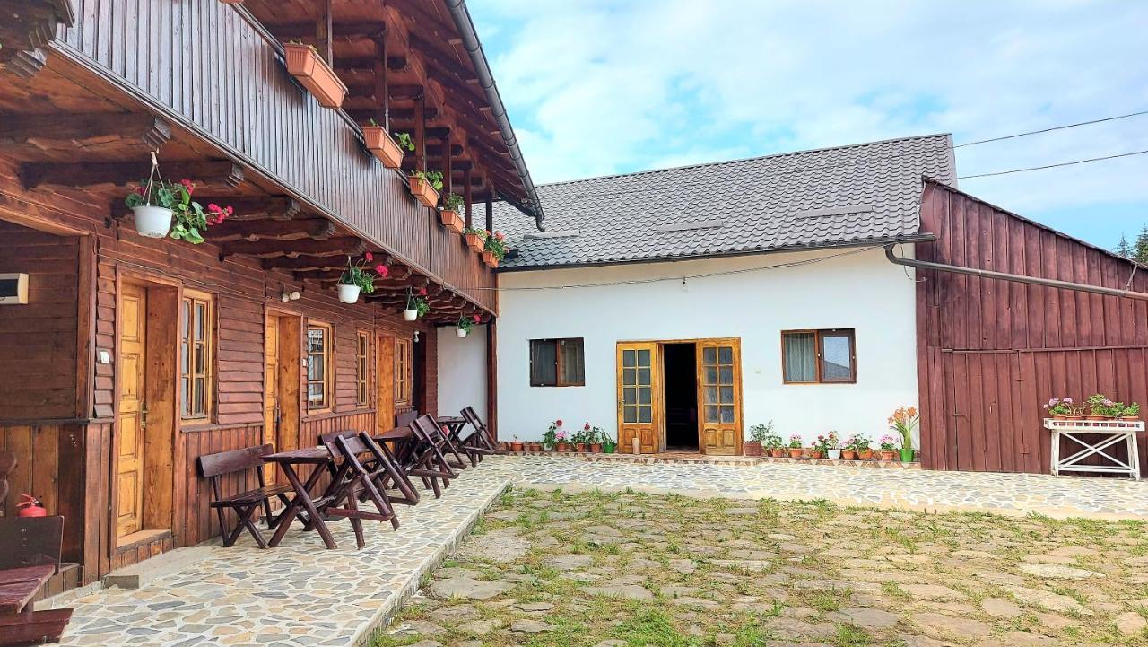 Pensiunea Boca Woronetz Exterior foto