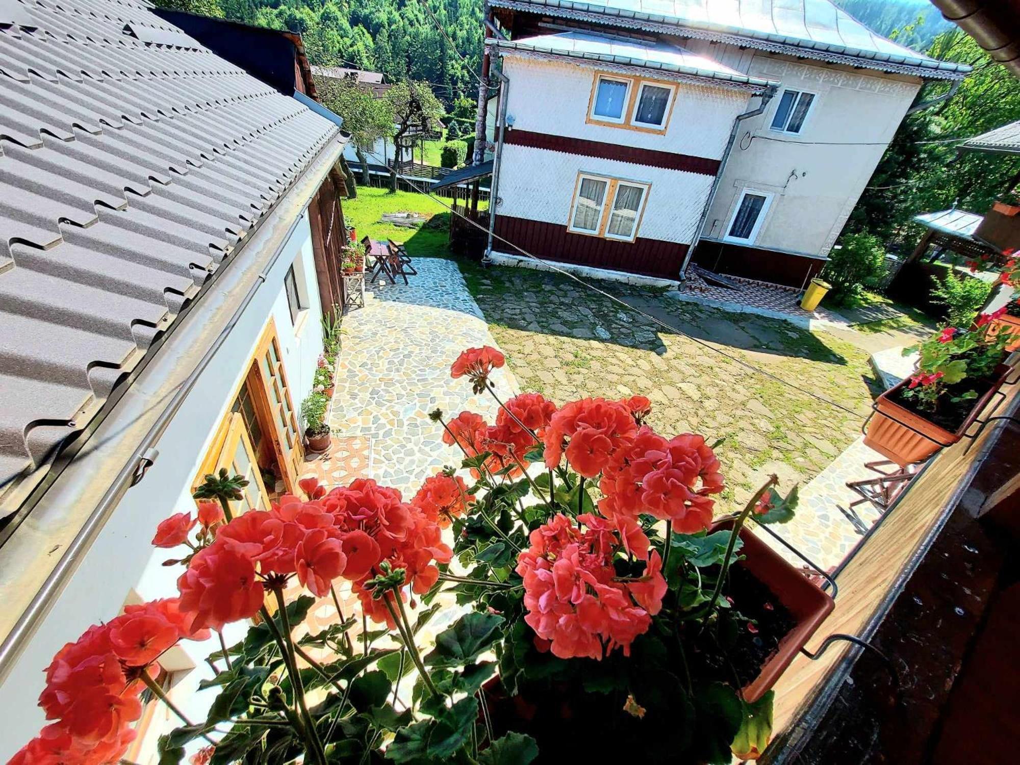 Pensiunea Boca Woronetz Exterior foto